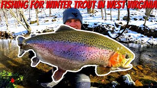 West Virginia Winter Trout Fishing [upl. by Ramos662]