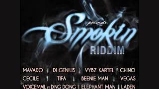 Smokin Riddim Mix 2010 By DJ WOLFPAK [upl. by Fair]