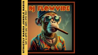 DJ FlowVibe  SRJ Radio Live  Sep 282024 [upl. by Orth]