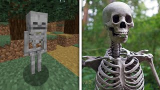 Minecraft characters in real life [upl. by Jaco]