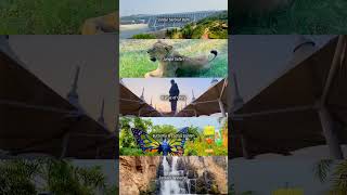 triponwheel statueofunity travel travelvlog carrental umbergaon ytshorts youtubeshorts [upl. by Yarg]