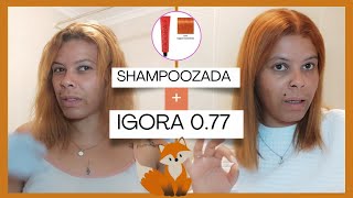 Fiz uma Shampoozada e depois pintei o cabelo com a Igora 077 🧡🦊 [upl. by Deana]