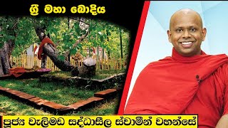 ග්‍රී මහා බොදිය  Welimada Saddaseela Thero Bana 2024 [upl. by Harol]