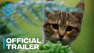 A Cats Life  Official Greenband Trailer [upl. by Thais]