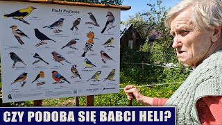 Czy podoba się babci Heli [upl. by Itida]