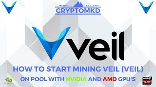 How to start mining VEIL VEIL on pool with NVIDIA and AMD GPUs [upl. by Fabrianne146]