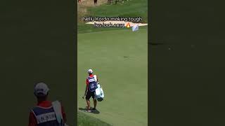 A perfect chip from Nelly Korda 👏 golf LPGALookback [upl. by Yarised150]