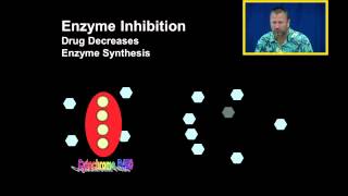 Enzyme Inhibition and Enzyme Induction [upl. by Ahker821]