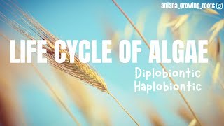 Diplobiontic Life Cycle  Haplobiontic Life Cycle  Algal Life Cycles  HSA  BSc MSc [upl. by Jorgan]