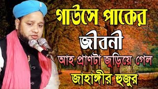 Jahangir Hujur। গাউসে পাকের জীবনী  মাওলানা জাহাঙ্গীর আলম  Jahangir Alam  Bangla New waz  2018 [upl. by Pisano]