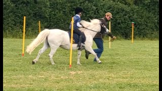 Competing my ponies at Hanbury Horse Show Show Jumping amp Gymkhana [upl. by Mikahs]