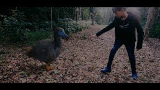 The Dodo  Short Film [upl. by Yarled]