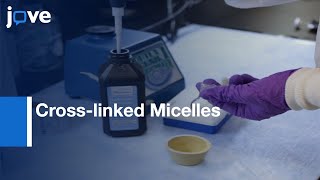 Reversible Disulfide Crosslinked Micelles Production  Protocol Preview [upl. by Limaa165]