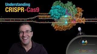 Understanding CRISPRCas9 [upl. by Tsiuqram]