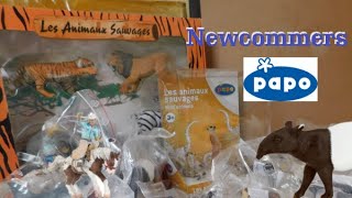 PAPO  Mega unboxing  tapir meerkats tiger lion elephant leopard foals dogs rodeo set [upl. by Eila73]