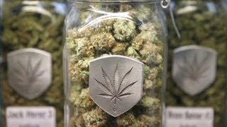 Businesses cashing in on pot sales [upl. by Dronel]