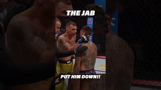 THIS JAB Put Him DOWN ufc mma shorts [upl. by Kleon]