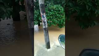 Banjir sungai Semantan raub [upl. by Dulcie]