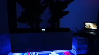 Teufel Cinebar Lux  Surround sound test [upl. by Hadley]