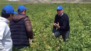 Testimonial en el cultivo de papaPerú [upl. by Esiuol492]