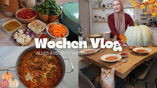 Ich Koche was unser Garten hergibt  VLOG [upl. by Waller945]