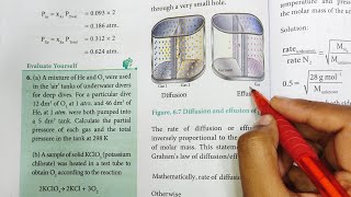 Grahams Law of diffusion  Gaseous State  Class 11 Chemistry  In Tamil [upl. by Aianat]