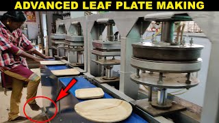 HOW Areca Leaf Plates Making  Disposable and BioDegradable  Factory Explorer [upl. by Aisetra]