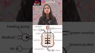 Class 12 Biology Chapter 11 BioreactorsFermenters Biotechnology Principles and Processes  shorts [upl. by Selima92]