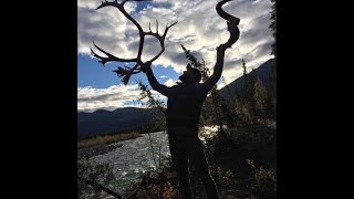 Arctic Red Dall Sheep amp BampC Caribou Hunt ft Randy Hancock [upl. by Keily51]