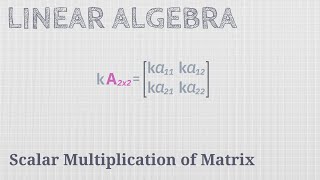 Scalar Multiplication of Matrix Linear Algebra [upl. by Lleksah256]