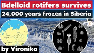 Microscopic animal Bdelloid rotifers survives 24000 years frozen in Siberia  Environment for UPSC [upl. by Ploss]