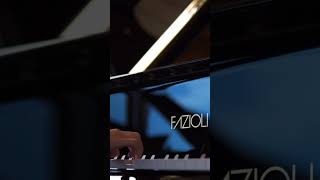 Fazioli Grand Piano piano piyano grandpiano faziolipiano [upl. by Leupold]