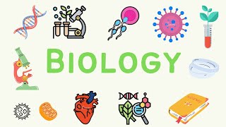 7 A Level Biology  Energy and Respiration Part 1 ⚡ [upl. by Trumann]