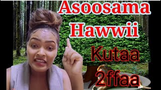 Learn Afan Oromo Asoosama Hawwii Kutaa 2ffa [upl. by Yrokcaz182]