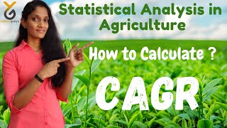 How to Calculate CAGR  Statistical Analysis in Agriculture  yellowgreys  YouTube [upl. by Burny189]