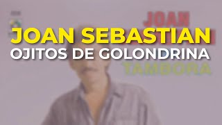 Joan Sebastian  Ojitos de Golondrina Audio Oficial [upl. by Arac]