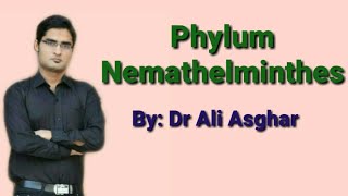 Phylum Nemathelminthes Round Worm in HindiUrdu [upl. by Dohsar]