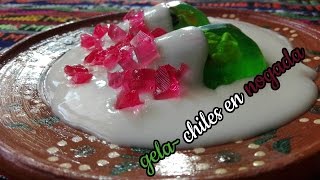 GELATINA FIESTAS PATRIAS DE CHILES EN NOGADALAS RECETAS DE LUPITA [upl. by Anitsej547]