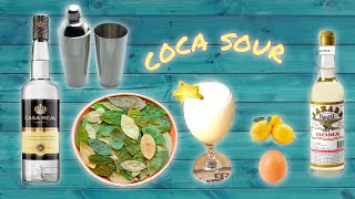 ⭐SABOREA EL ESPECTACULAR TRAGO COCA SOUR UN TRAGO SENSACIONAL CON HOJA DE COCA MACERADA 🍋🌿 [upl. by Mairhpe]