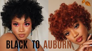 HOW I WENT FROM BLACK TO AUBURN [upl. by Anuahsed989]