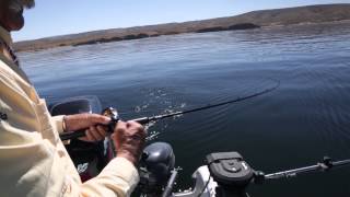 Fishing For Flaming Gorge Reservoir Kokanee amp Rainbows [upl. by Rufina]