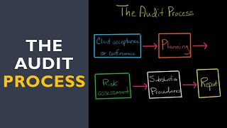 The Audit Process [upl. by Morvin]