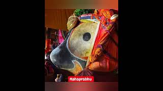 Jay shree jagannath maha probhu jagannathlover jagannathbhajan [upl. by Thirza]