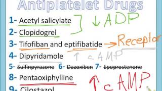 Antiplatelet Drugs part 2 [upl. by Assena]