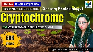 NEETGENETICS Polytene Chromosome and Lampbrush Cromosome Easy Way [upl. by Ruckman]