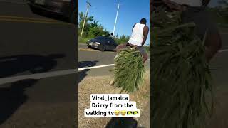 DRIZZY BURKE FROM THE WALKING TV FAMILY🤣JAMAICA 🇯🇲 IS NICE 😂 [upl. by Aknayirp]