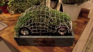 How to fill a topiary frame [upl. by Guillermo]