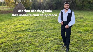 Marian Medregoniu Uite mândra cum seapleacă [upl. by Atekahs]