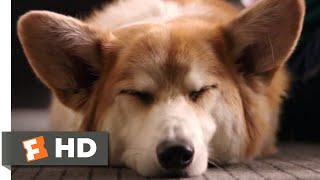 Hachi A Dogs Tale 2009 Trailer 1 [upl. by Shandeigh]