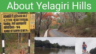 YELAGIRI Hills Yelagiri Boat House Yelagiri Tourist Places Yelagiri Malai Road Trip Punnagai TV [upl. by Mou]